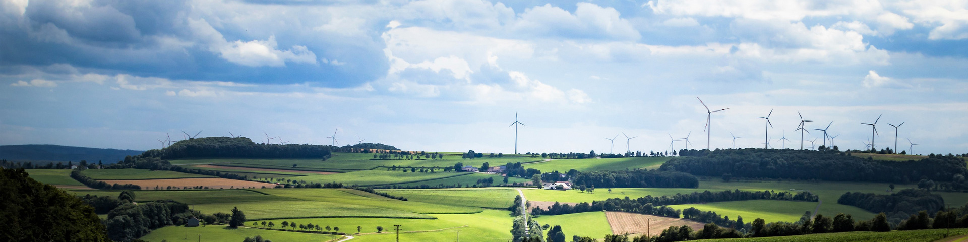 Eifel-Panorama